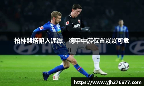 YY易游体育