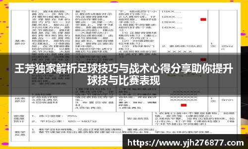 YY易游体育